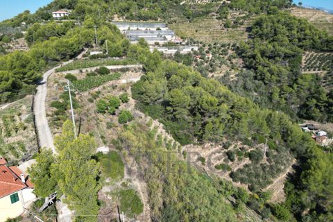 Villa a Soldano, Imperia, Soldano - € 120.000 | Ref: 22507 - foto 14