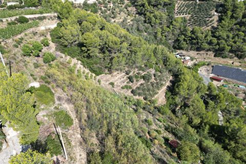 Villa a Soldano, Imperia, Soldano - € 120.000 | Ref: 22507 - foto 15