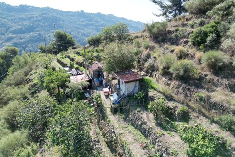 Villa a Soldano, Imperia, Soldano - € 120.000 | Ref: 22507 - foto 16