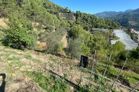 Villa a Soldano, Imperia, Soldano - € 120.000 | Ref: 22507 - foto 27