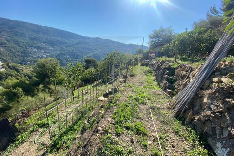 Villa a Soldano, Imperia, Soldano - € 120.000 | Ref: 22507 - foto 28