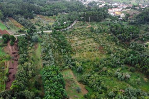 Terra a Coimbra, Coimbra, Coimbra - € 57.000 | Ref: LUX_CB-00346 - foto 2