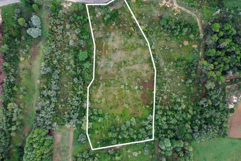 Terra a Coimbra, Coimbra, Coimbra - € 57.000 | Ref: LUX_CB-00346 - foto 3