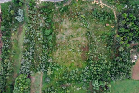 Terra a Coimbra, Coimbra, Coimbra - € 57.000 | Ref: LUX_CB-00346 - foto 4