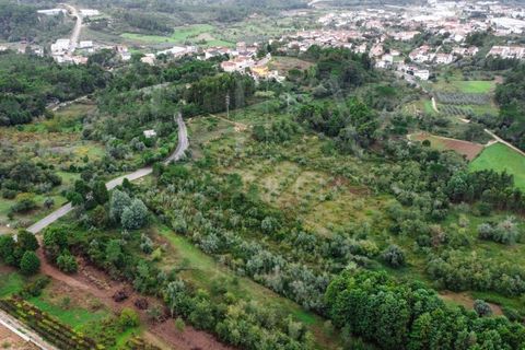 Terra a Coimbra, Coimbra, Coimbra - € 57.000 | Ref: LUX_CB-00346 - foto 5