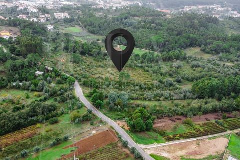 Terra a Coimbra, Coimbra, Coimbra - € 57.000 | Ref: LUX_CB-00346 - foto 7
