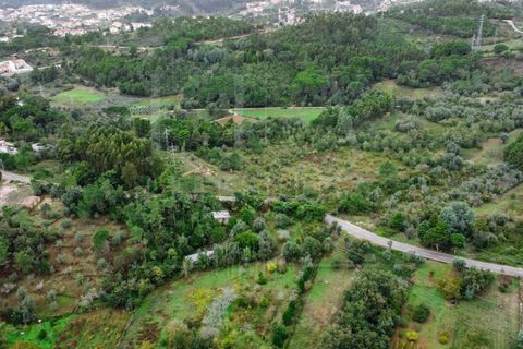 Terra a Coimbra, Coimbra, Coimbra - € 57.000 | Ref: LUX_CB-00346 - foto 8
