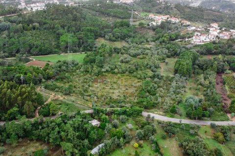 Terra a Coimbra, Coimbra, Coimbra - € 57.000 | Ref: LUX_CB-00346 - foto 10