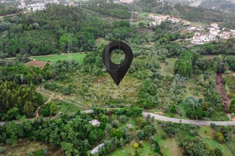 Terra a Coimbra, Coimbra, Coimbra - € 57.000 | Ref: LUX_CB-00346 - foto 11