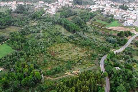 Terra a Coimbra, Coimbra, Coimbra - € 57.000 | Ref: LUX_CB-00346 - foto 13