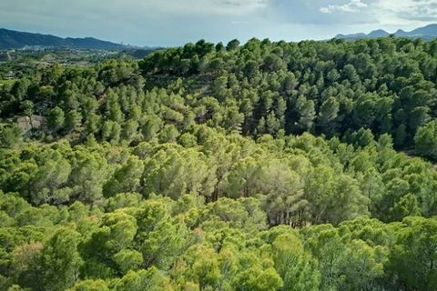 Helårsgrund i Altea, Alicante, Altea - € 349.000 | Ref: 3367 - foto 2