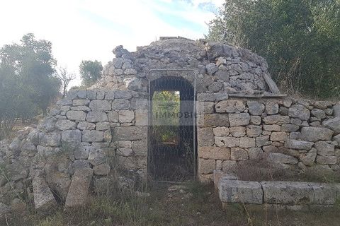 Tomt i Carovigno, Brindisi, Carovigno - € 87 000 | Ref: ter11  LAND - foto 14