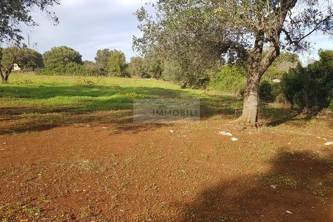 Tomt i Carovigno, Brindisi, Carovigno - € 87 000 | Ref: ter11  LAND - foto 11
