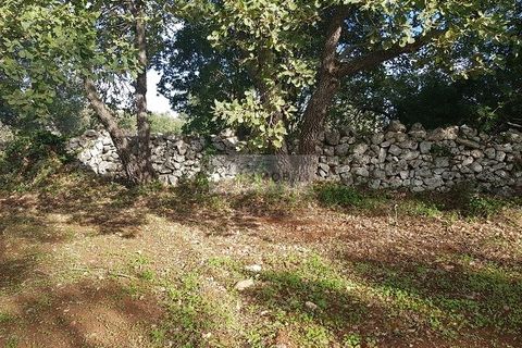 Tomt i Carovigno, Brindisi, Carovigno - € 87 000 | Ref: ter11  LAND - foto 13