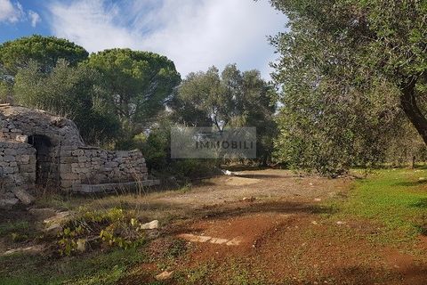 Tomt i Carovigno, Brindisi, Carovigno - € 87 000 | Ref: ter11  LAND - foto 16