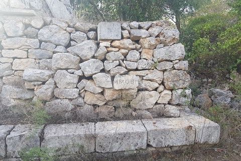 Tomt i Carovigno, Brindisi, Carovigno - € 87 000 | Ref: ter11  LAND - foto 15