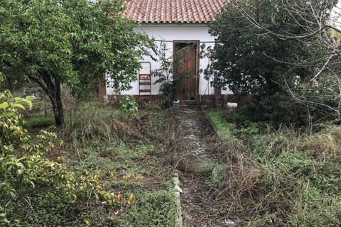 Villa a Ponte de Sor, Portalegre, Ponte de Sor - € 330.000 | Ref: CAS_192 - foto 11