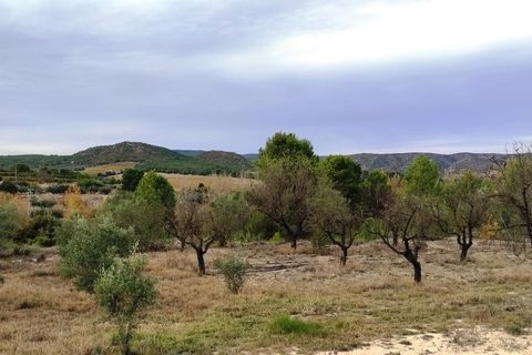 Landejendom i Ontinyent, Valencia, Ontinyent - € 35.000 | Ref: 2918 - foto 3
