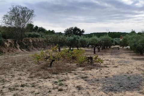 Landejendom i Ontinyent, Valencia, Ontinyent - € 35.000 | Ref: 2918 - foto 4