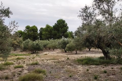 Landejendom i Ontinyent, Valencia, Ontinyent - € 35.000 | Ref: 2918 - foto 13