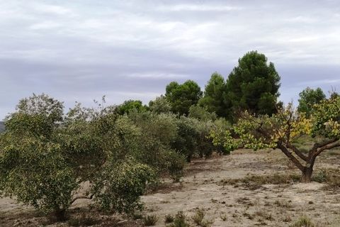 Landejendom i Ontinyent, Valencia, Ontinyent - € 35.000 | Ref: 2918 - foto 16