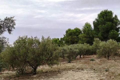 Landejendom i Ontinyent, Valencia, Ontinyent - € 35.000 | Ref: 2918 - foto 17