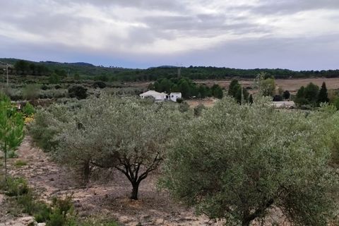 Landejendom i Ontinyent, Valencia, Ontinyent - € 35.000 | Ref: 2918 - foto 18