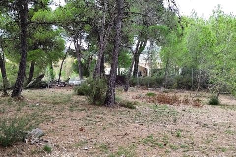 Landejendom i Ontinyent, Valencia, Ontinyent - € 35.000 | Ref: 2918 - foto 19