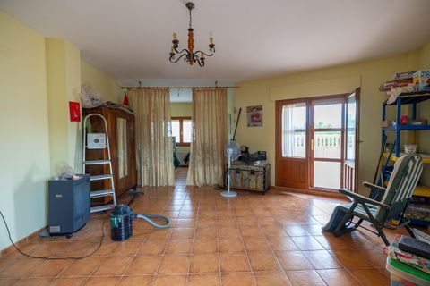 Byhus i Pinoso, Alicante, Pinoso - € 350.000 | Ref: CF2894 - foto 43