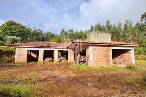 Villa i Ponte de Lima, Viana do Castelo, Ponte de Lima - € 150.000 | Ref: R924 - foto 2