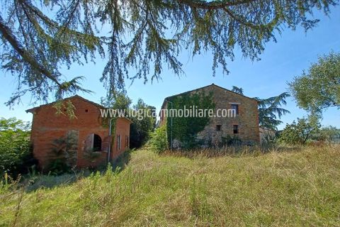 Farm hus i Lucignano, Arezzo, Lucignano - € 590.000 | Ref: CA594 - foto 4