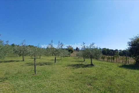 Farm hus i Lucignano, Arezzo, Lucignano - € 590.000 | Ref: CA594 - foto 5