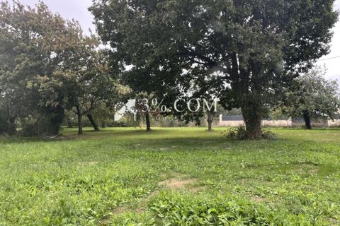 Villa i Baden, Morbihan, Baden - € 278.000 | Ref: 66_V1590051358 - foto 6