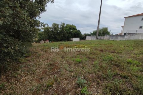 Helårsgrund i Tomar, Santarem, Tomar - € 59.500 | Ref: 01079-23 - foto 7