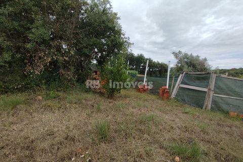 Helårsgrund i Tomar, Santarem, Tomar - € 59.500 | Ref: 01079-23 - foto 8
