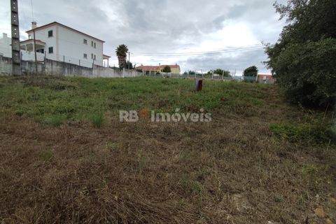 Helårsgrund i Tomar, Santarem, Tomar - € 59.500 | Ref: 01079-23 - foto 4