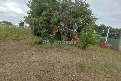 Helårsgrund i Tomar, Santarem, Tomar - € 59.500 | Ref: 01079-23 - foto 10