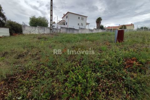 Helårsgrund i Tomar, Santarem, Tomar - € 59.500 | Ref: 01079-23 - foto 3