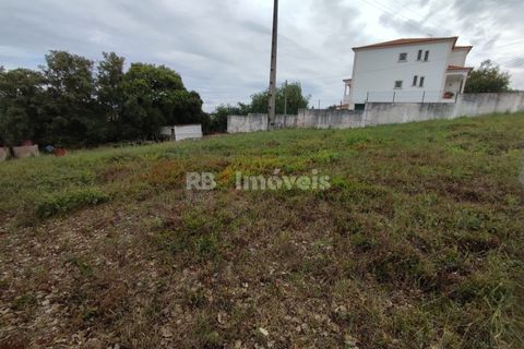 Helårsgrund i Tomar, Santarem, Tomar - € 59.500 | Ref: 01079-23 - foto 5
