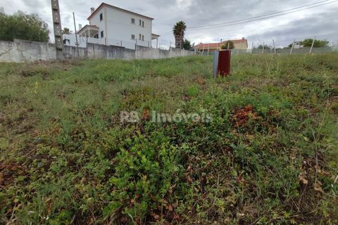 Helårsgrund i Tomar, Santarem, Tomar - € 59.500 | Ref: 01079-23 - foto 12