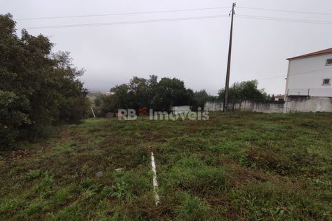 Helårsgrund i Tomar, Santarem, Tomar - € 59.500 | Ref: 01079-23 - foto 13