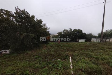 Helårsgrund i Tomar, Santarem, Tomar - € 59.500 | Ref: 01079-23 - foto 6