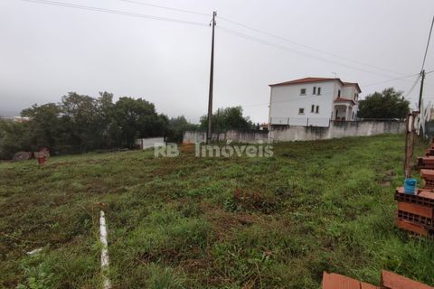 Helårsgrund i Tomar, Santarem, Tomar - € 59.500 | Ref: 01079-23 - foto 14