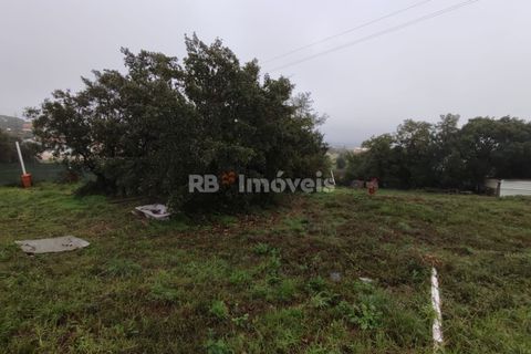 Helårsgrund i Tomar, Santarem, Tomar - € 59.500 | Ref: 01079-23 - foto 15