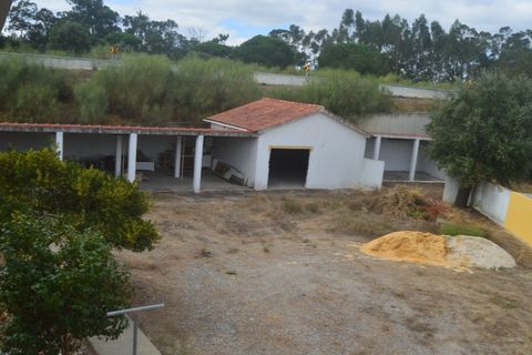 Villa i Palmela, Setubal, Palmela - € 950.000 | Ref: 20057 - foto 13