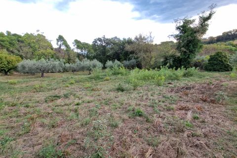 Terra a Pescara, Pescara, Pescara - € 14.000 | Ref: 83321508 - foto 2