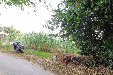 Terra a Pescara, Pescara, Pescara - € 14.000 | Ref: 83321508 - foto 3