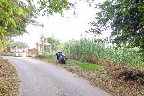 Terra a Pescara, Pescara, Pescara - € 14.000 | Ref: 83321508 - foto 4