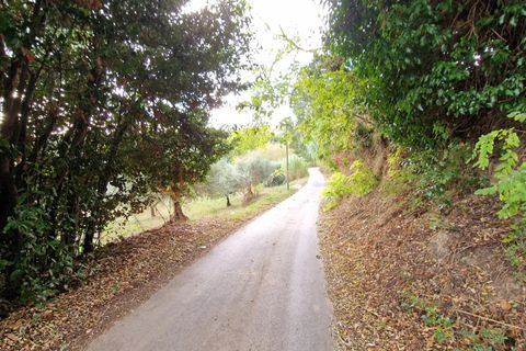 Terra a Pescara, Pescara, Pescara - € 14.000 | Ref: 83321508 - foto 5