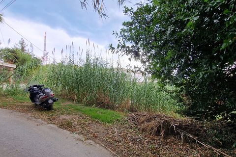 Terra a Pescara, Pescara, Pescara - € 14.000 | Ref: 83321508 - foto 6